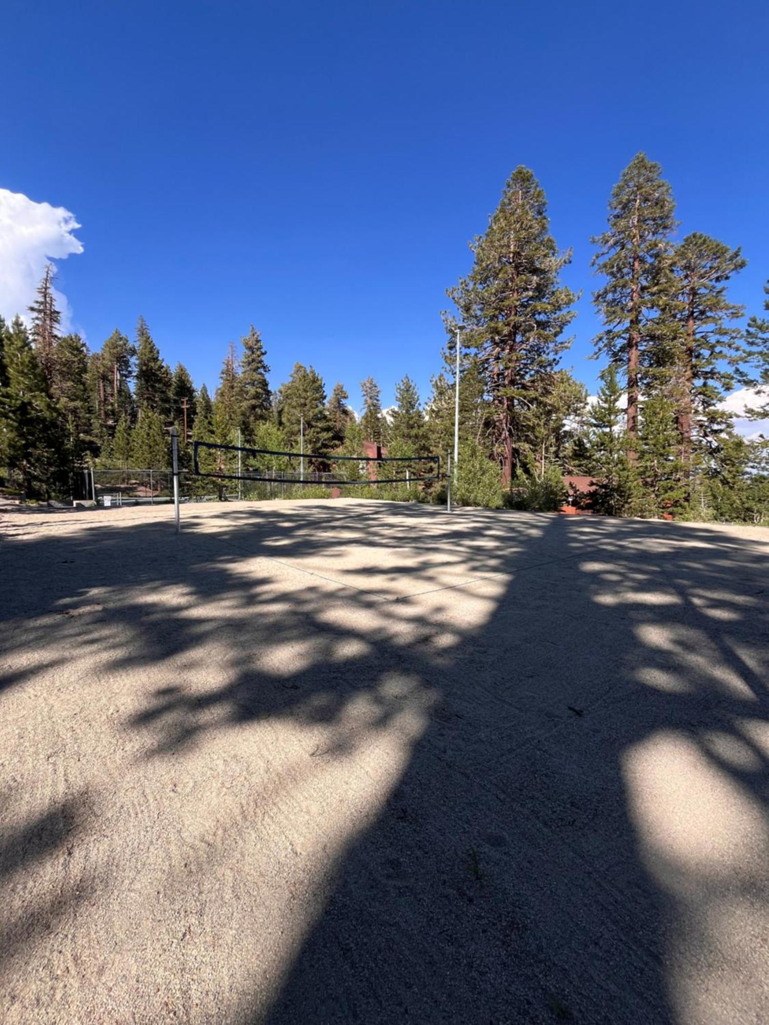 Tastefully Remodeled Condo At Mammoth Ski & Racquet Club, Hot Tub, Garage, 10 Min Walk To Ski Lifts Mammoth Lakes Eksteriør billede