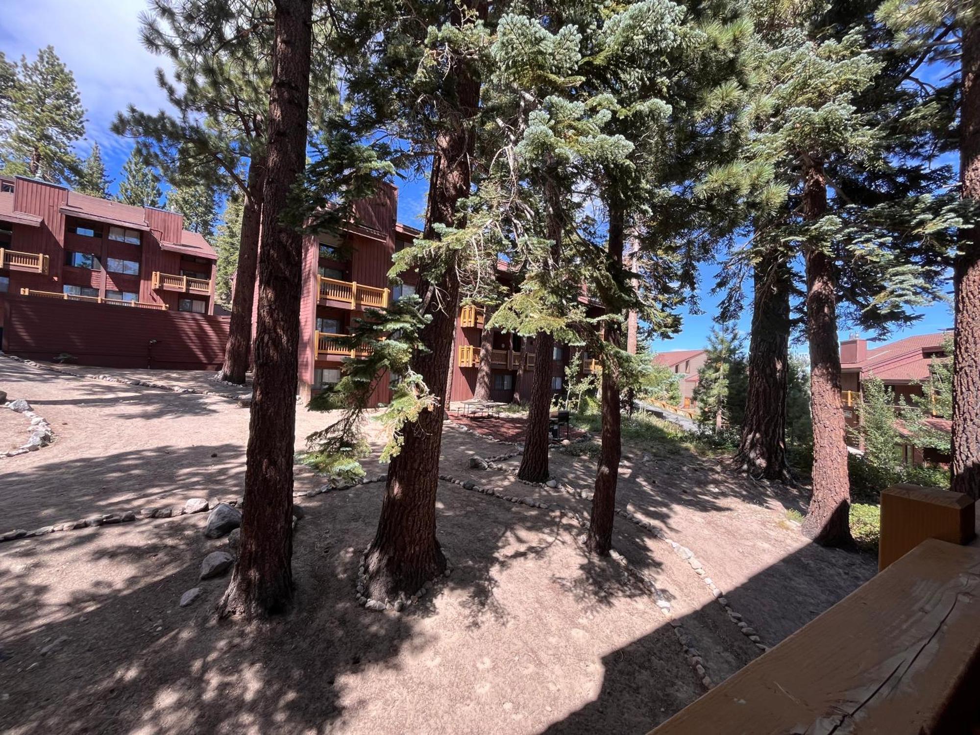 Tastefully Remodeled Condo At Mammoth Ski & Racquet Club, Hot Tub, Garage, 10 Min Walk To Ski Lifts Mammoth Lakes Eksteriør billede